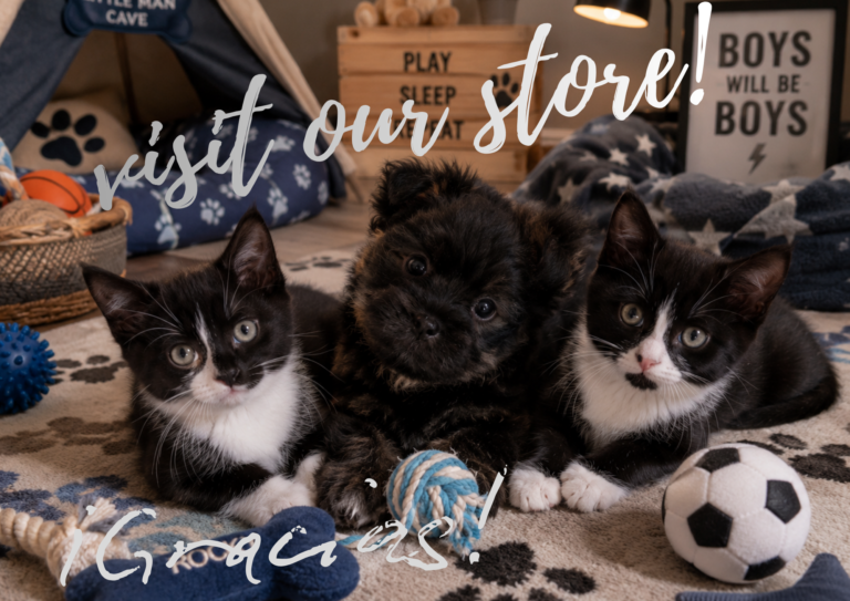Visit our Store!